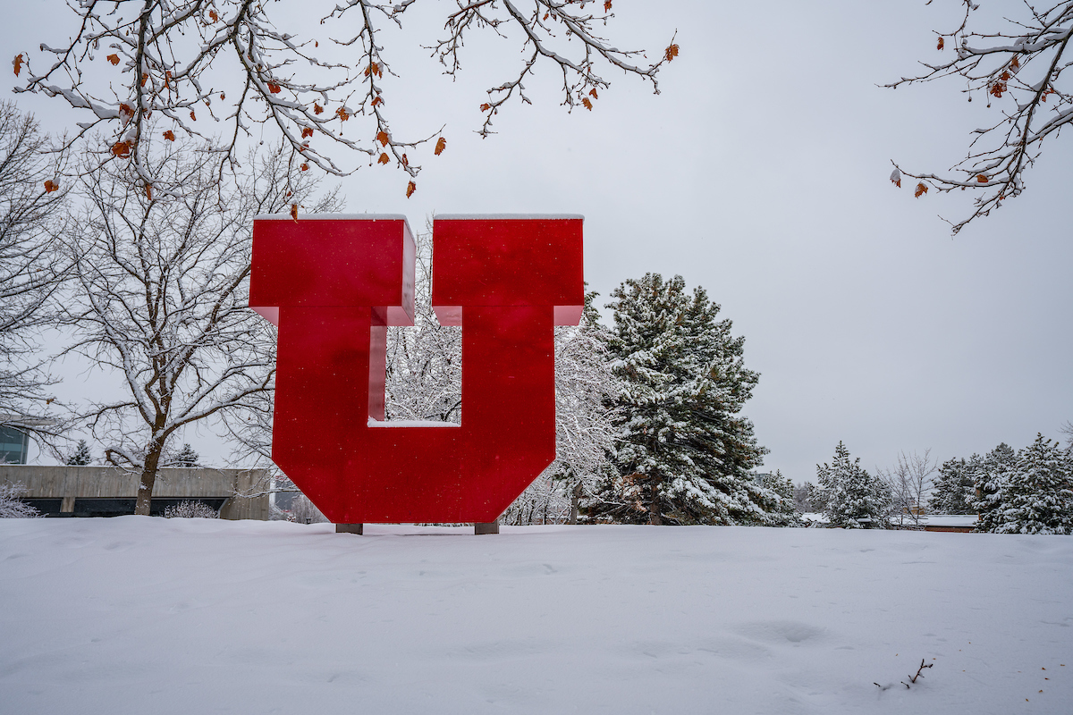 Winter view of Block U